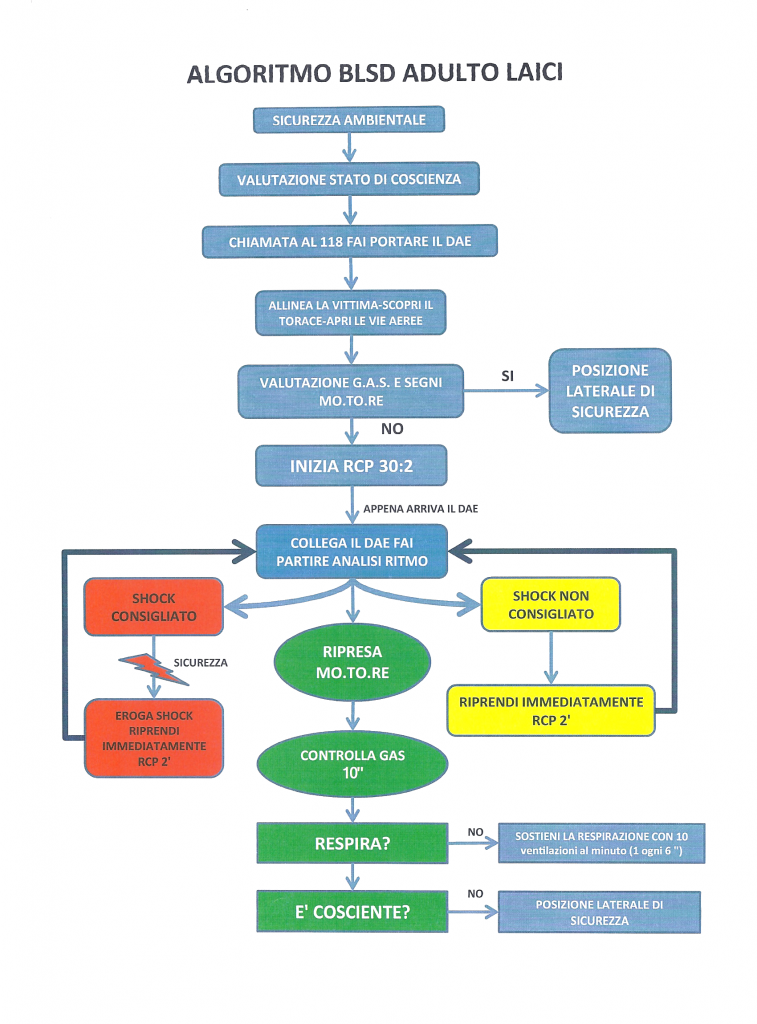 algorithm-blsd-adults-laymen